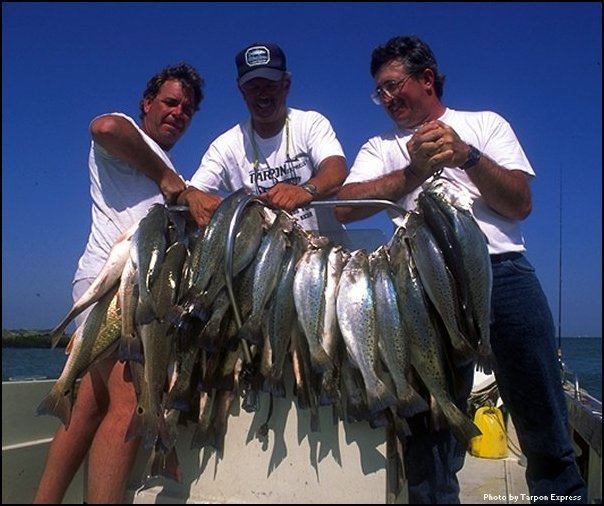 Galveston Fishing Guides: Captain Mike Williams and the Tarpon Express